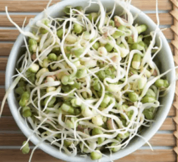 Moong Sprouts