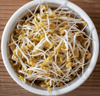 Methi Sprouts