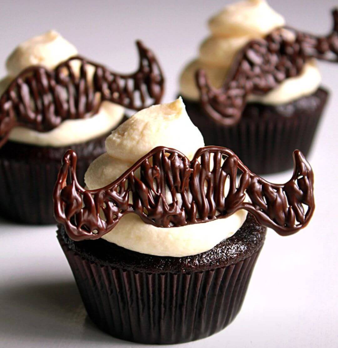 chocolate vanilla cupcakes