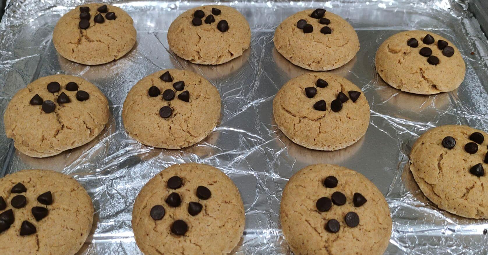 Whole Wheat Cookies ( Cinnamon + Choco chips )