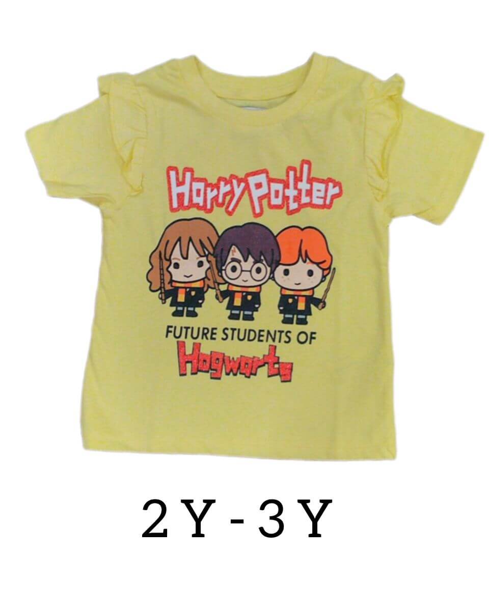 GIRLS TEES  2 - 3 Y