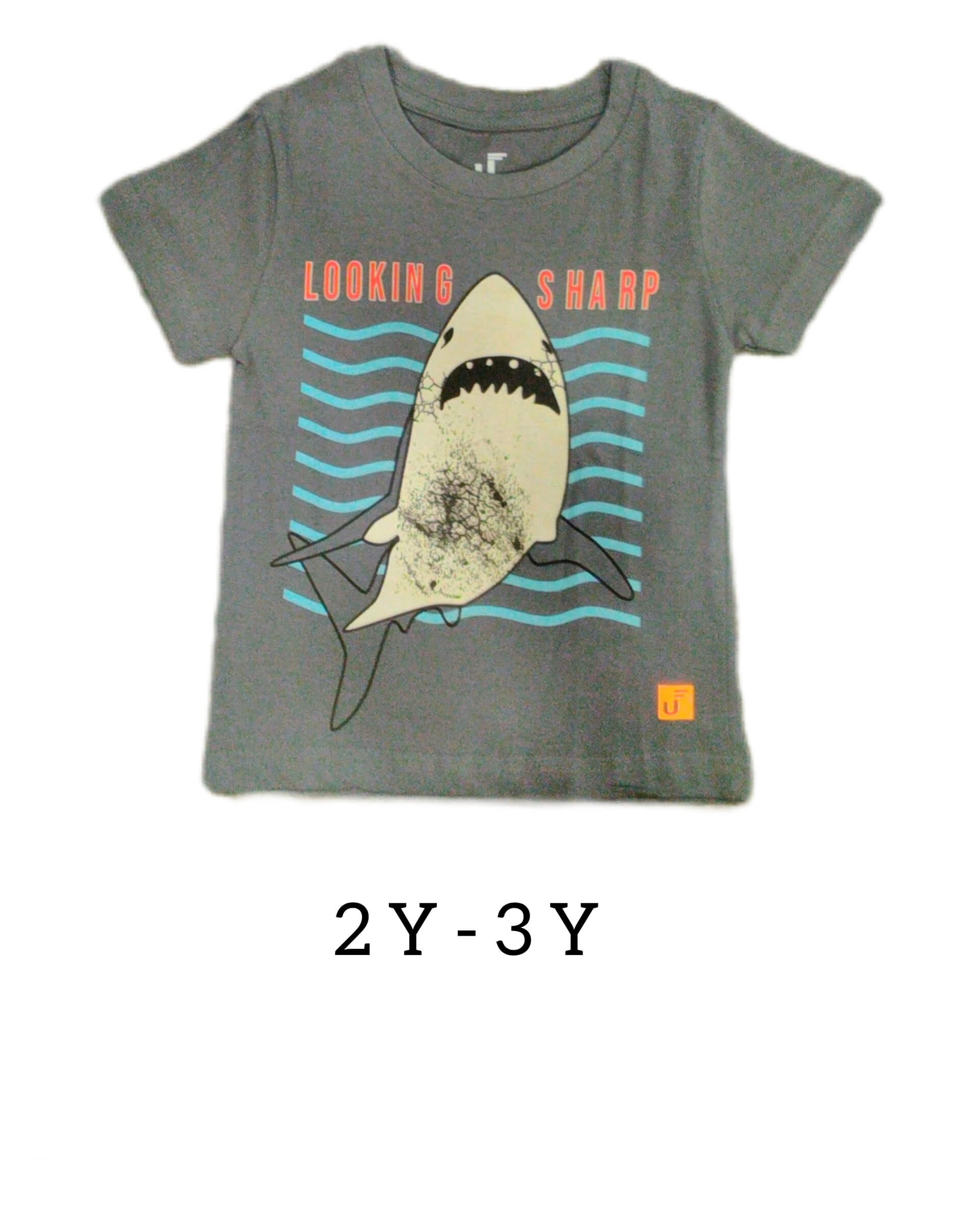 BOYS T-SHIRT2-3Y