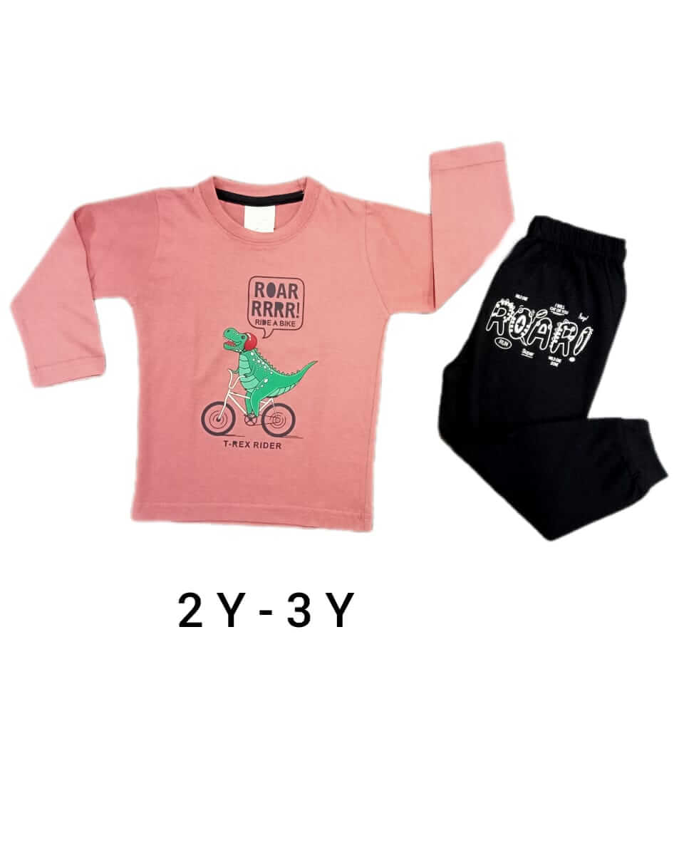 Boys 2-3Y