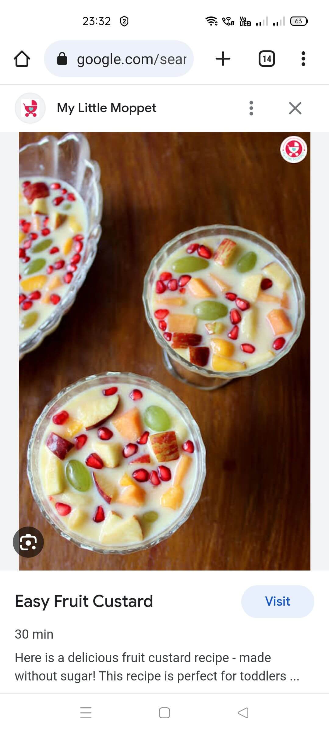 fruit custard