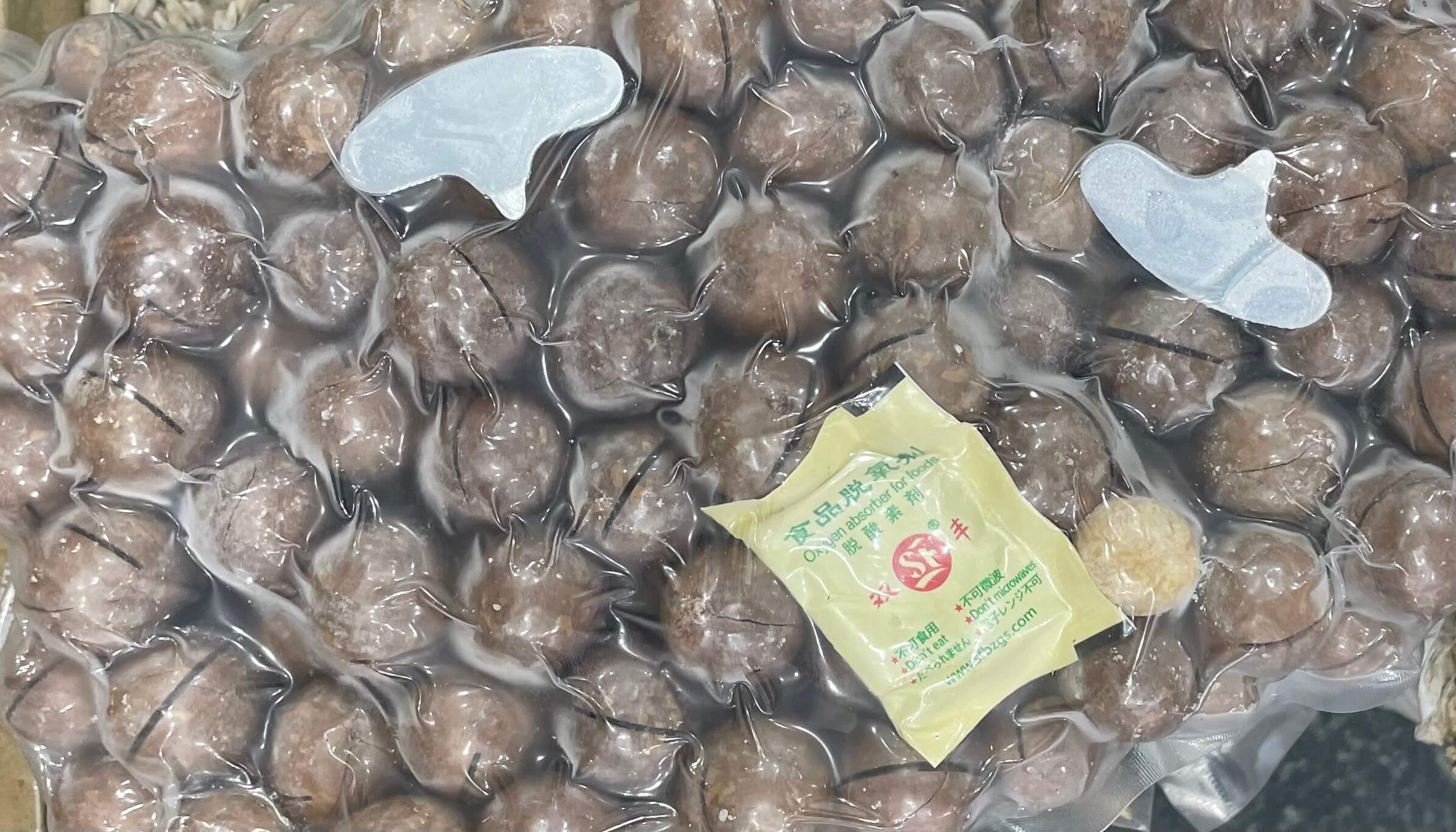 Macadamia nuts with shell